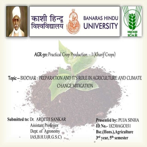 BIOCHAR: PREPARATION AND IT'S ROLE IN CLIMATE CHANGE MITIGATION