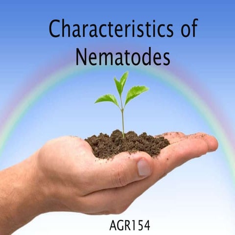 AGR154 CHAPTER 4 - NEMATODES
