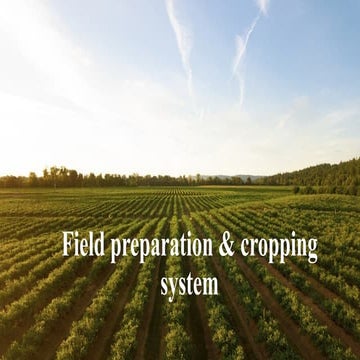 Multiple cropping systems | PPTX