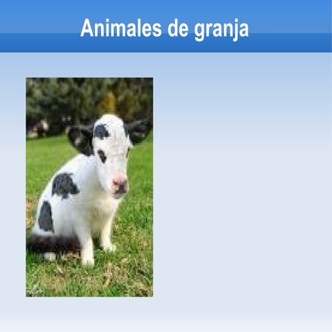 A Granja Juan A  Encarni