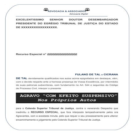 Agravo nos autos de Recurso Especial | DOC