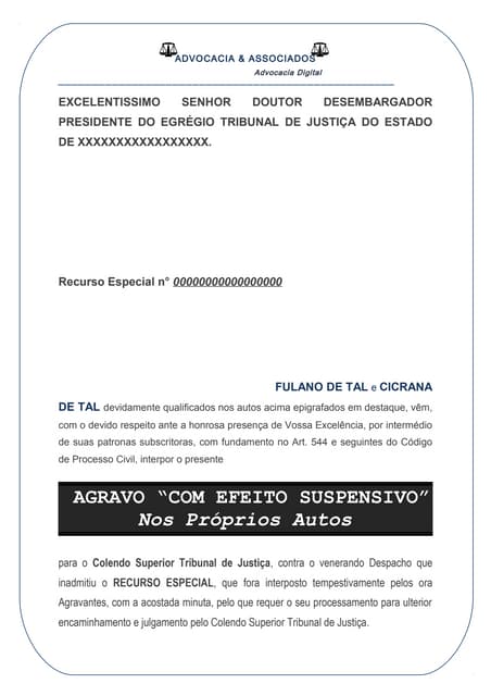 Agravo nos autos de Recurso Especial | DOC