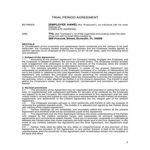 Project based employment contract | DOCX