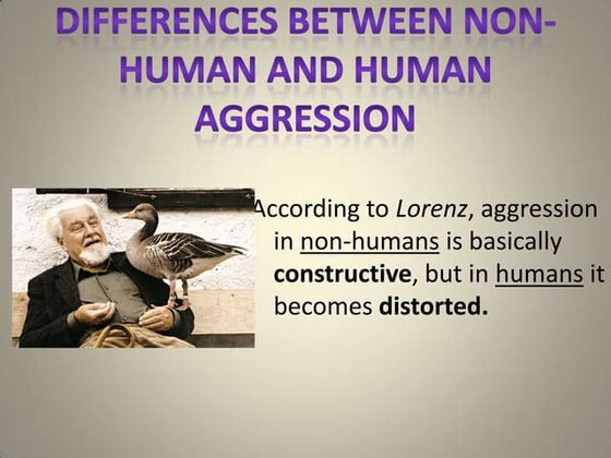 Territory & agression | PPT