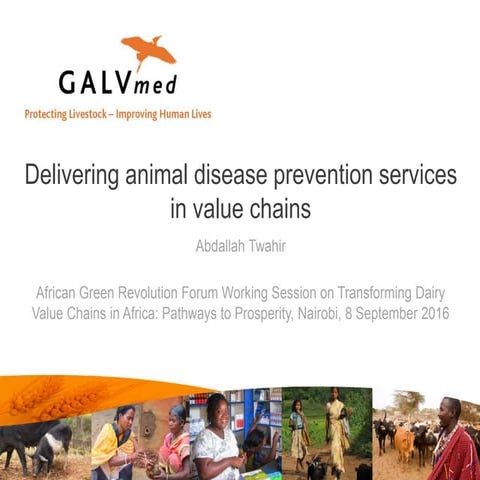 Delivering animal disease prevention services in value chains