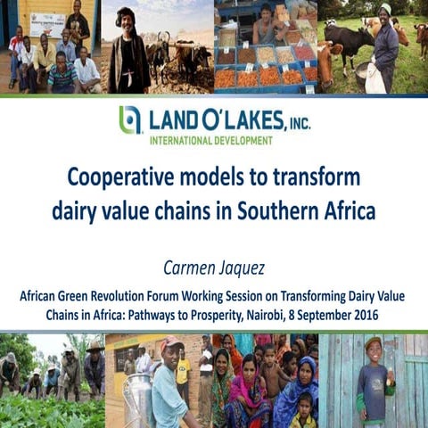 Cooperative models to transform dairy value chains in Southern Africa