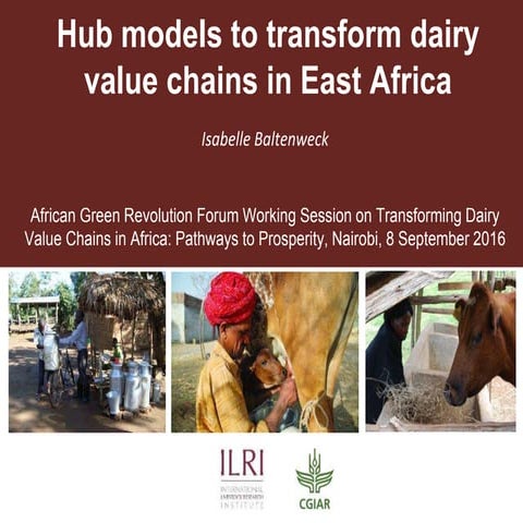Hub models to transform dairy value chains in East Africa