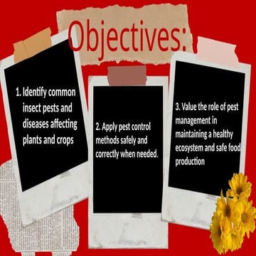 agri 9 insects and its characteristicsss