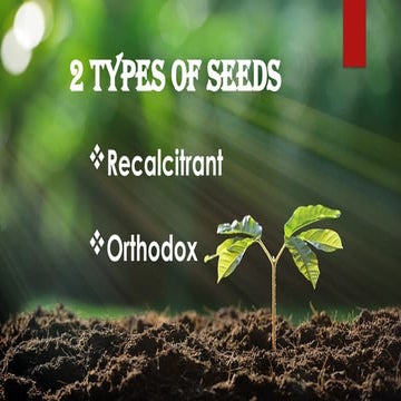 Agricultural crops production national certificate level 2