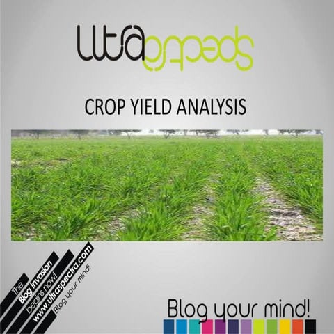 Agricultue issue Pakistan new