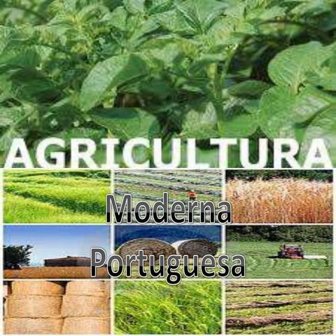 Agricultura em Portugal