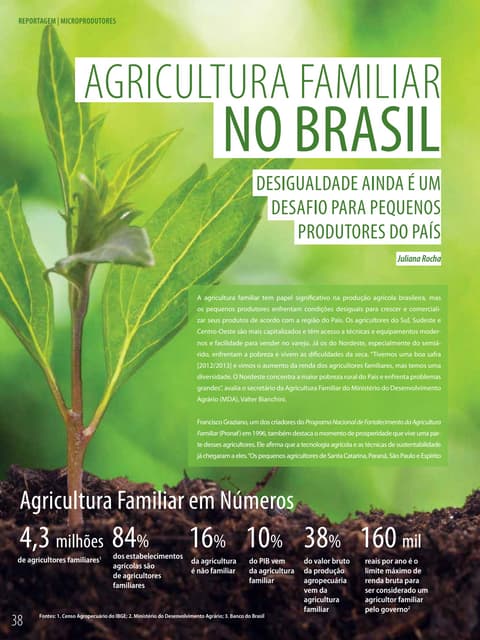 Agricultura familiar no Brasil 