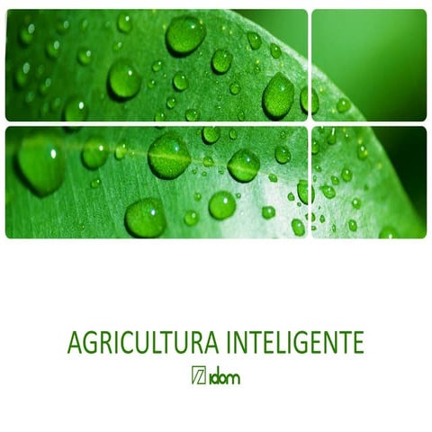 Agricultura Inteligente, por IDOM.