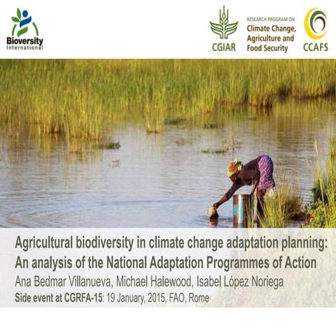 Agricultural biodiversity in climate change adaptation planning | PPTX