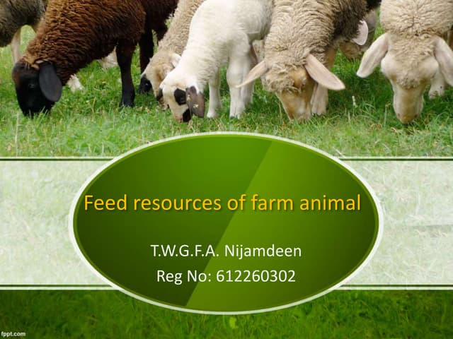 Feed resources of farm animal