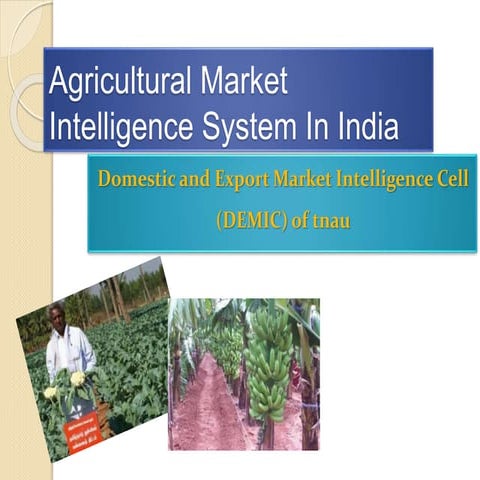 Agricultural market intelligence system in india