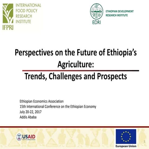 Perspectives on the Future of Ethiopia’s Agriculture:  Trends, Challenges and...