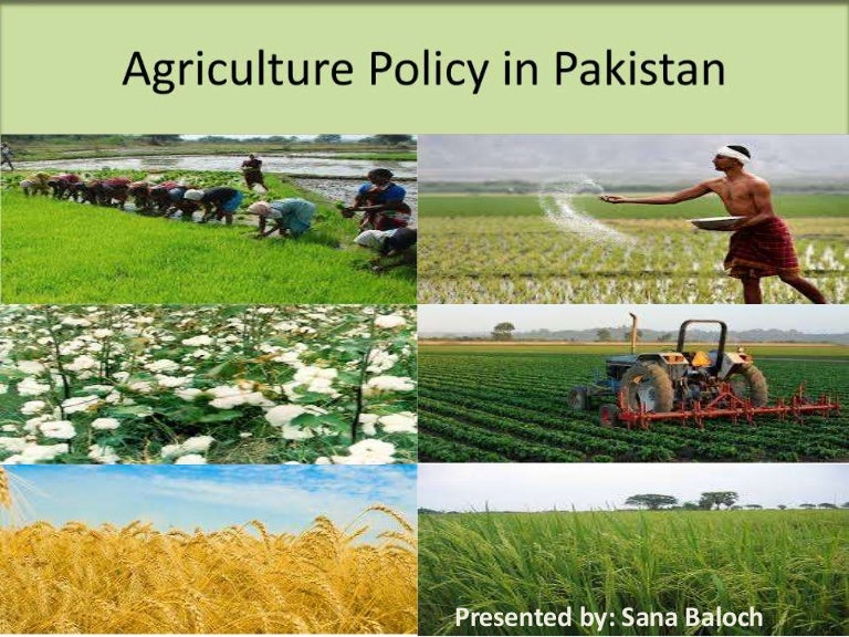 Agricultural policy of pakistan