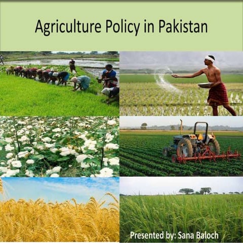 Agricultural policy of pakistan