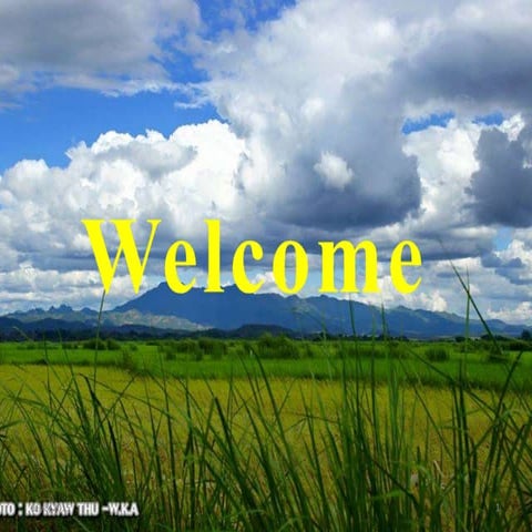 Agricultural Pollution