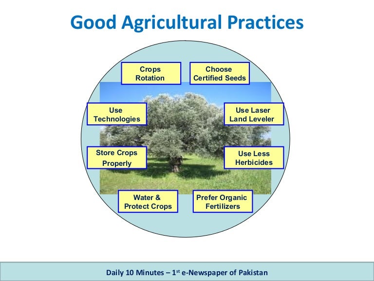 Good Agricultural Practices