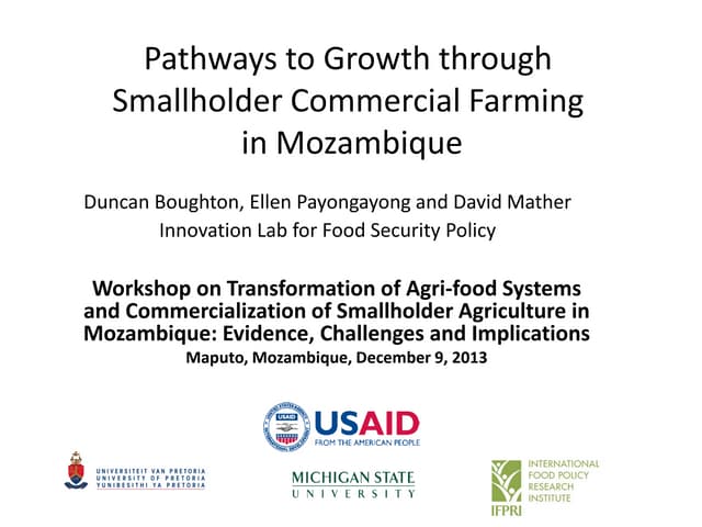 Pathways to Growth through Smallholder Commercial Farming in Mozambique