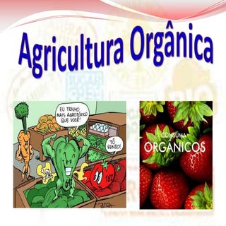 Agricultura orgânica 