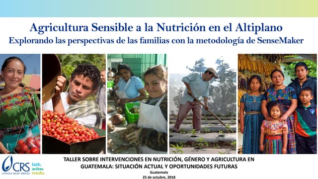 Agricultura sensible a la nutrición en el Altiplano. Explorando las perspectivas de las familias con la metodología SenseMaker