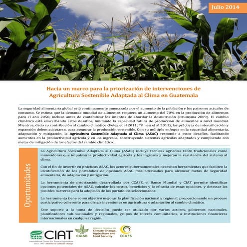Agricultura sostenible adaptada al cambio climatico   ccafs
