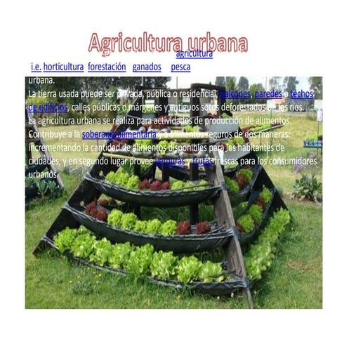 Agricultura urbana