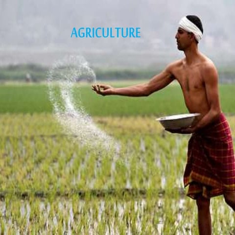 AGRICULTURE SECTORS | PPTX
