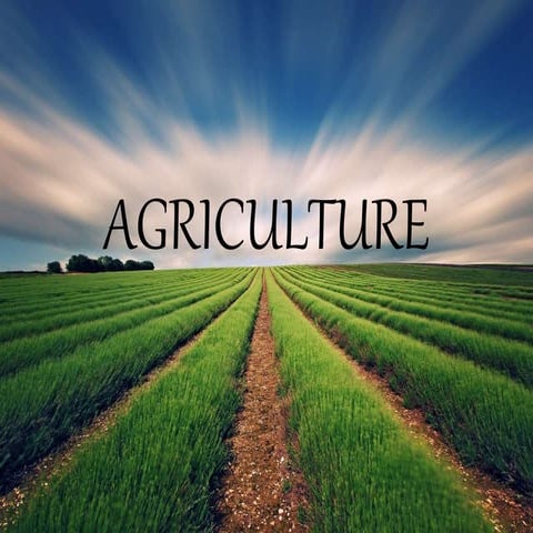 Agriculture.