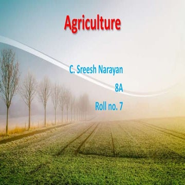 Agriculture In India methods and procedures.pptx