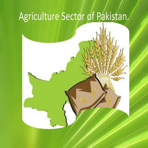Agriculture  sector of Pakistan 
