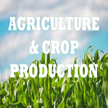 AGRICULTURE-PRODUCTION for lesson in Grade 7.pptx