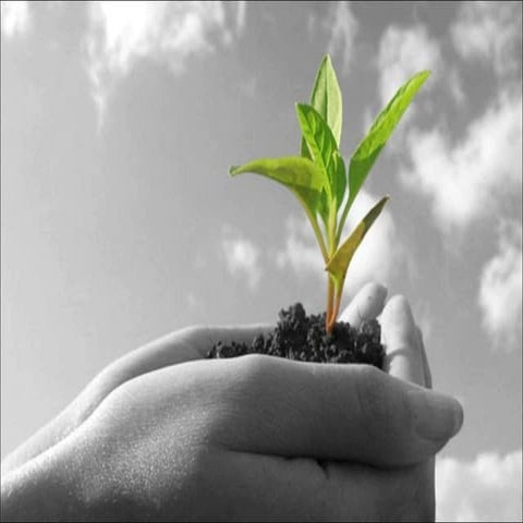 Agriculture and Social Entrepreneurship