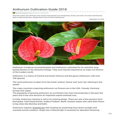 Anthurium cultivation guide 2018