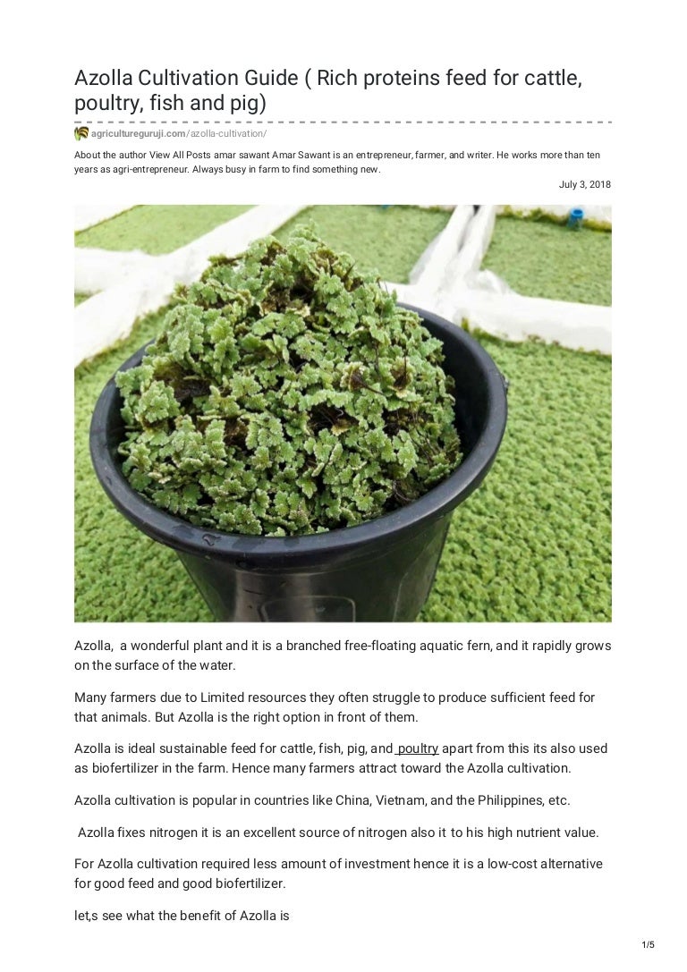 Azolla cultivation guide ( Rich proteins feed for cattle poultry fish…