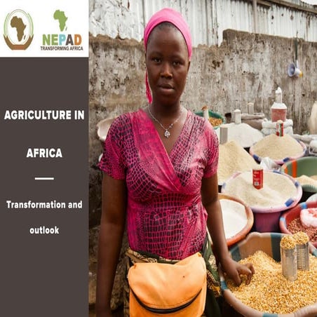 Agriculture in Africa