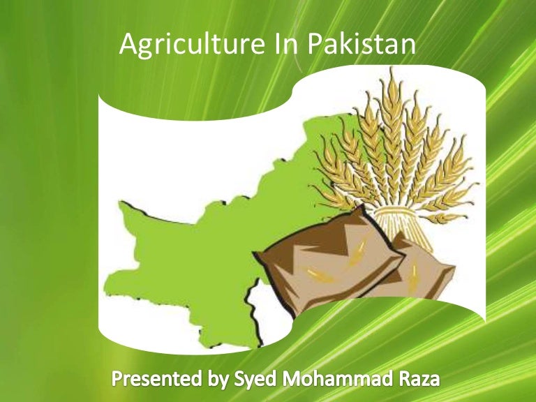 Agriculture in pakistan