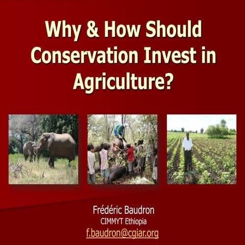 Agriculture & nature conservation