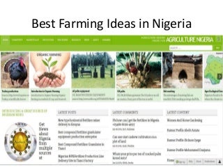 Best farming ideas in Nigeria