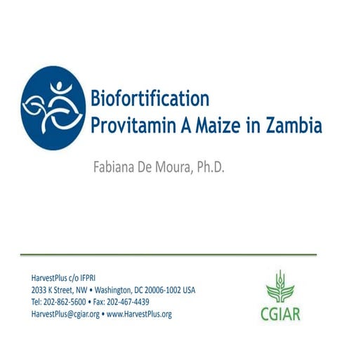 Biofortification Provitamin A Maize in Zambia