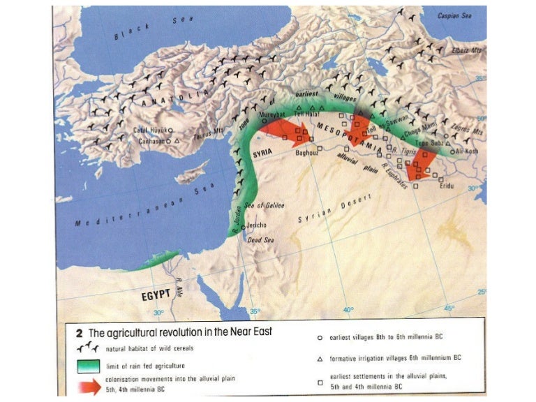 Where Did Agriculture Begin Updated 2022