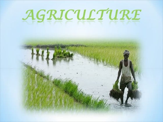 agriculture ppt | PPT | Agriculture | Industries