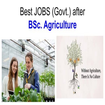 Best government jobs after BSc Agriculture pdf | PDF