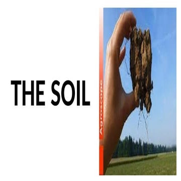 AGRI Crop production powerpoint presenta