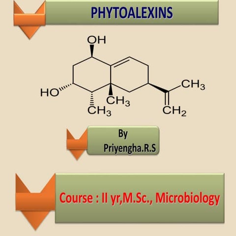 Phytoalexins
