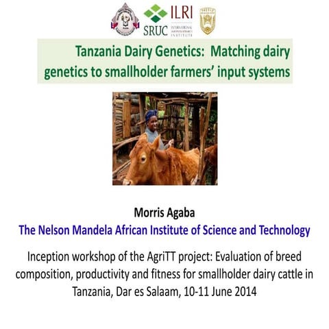 Tanzania dairy genetics: Matching dairy genetics to smallholder farmers’ inpu...