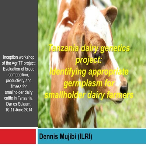Tanzania dairy genetics project: Identifying appropriate germplasm for smallh...